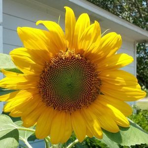 Meet your Posher, Eve